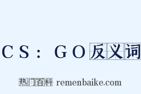 CS:GO反义词是什么意思的图片